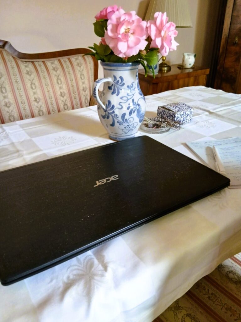 Kanali prodaje,Izrada web sajta na lap topu koji je na stolu na kom je ivaza s buketom ruža