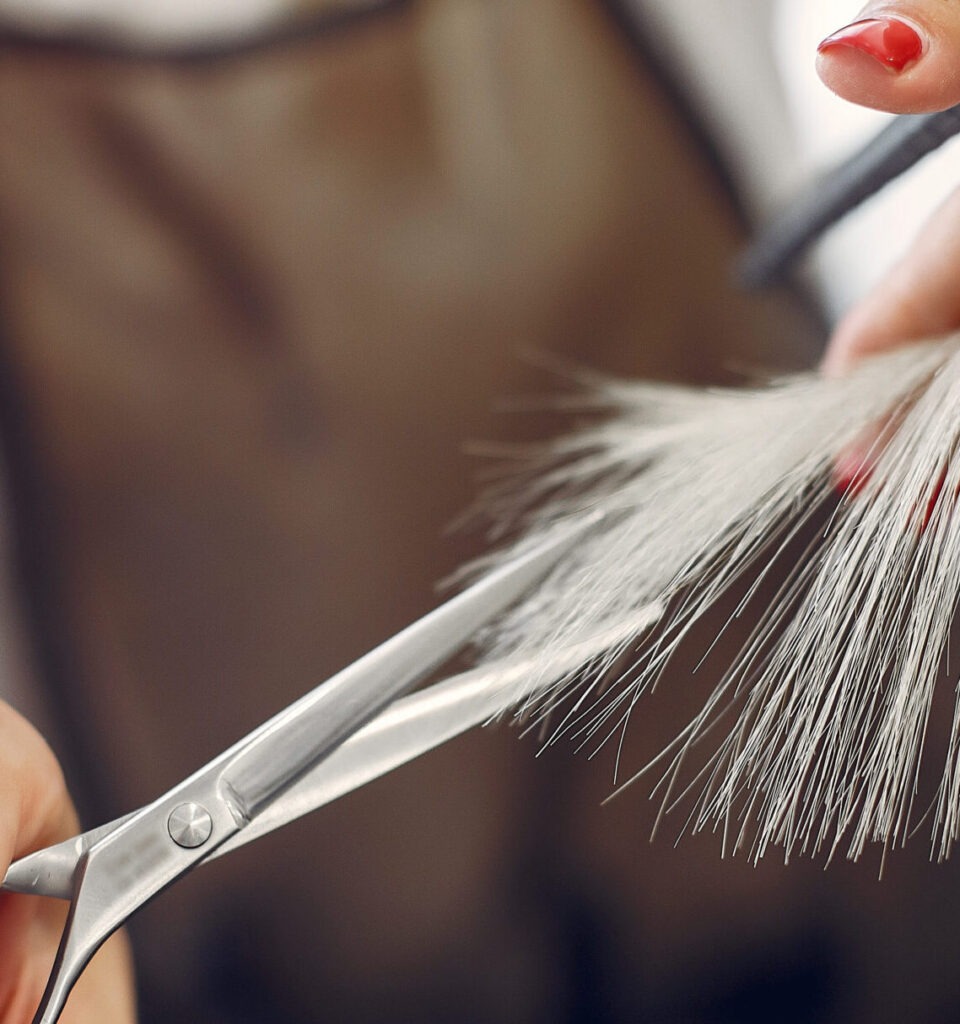 Frizerski salon i web sajt